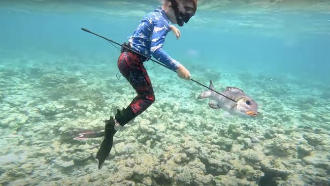 Five-year-old Ocean Sercombe one of the youngest freedivers and spearfishers in the world