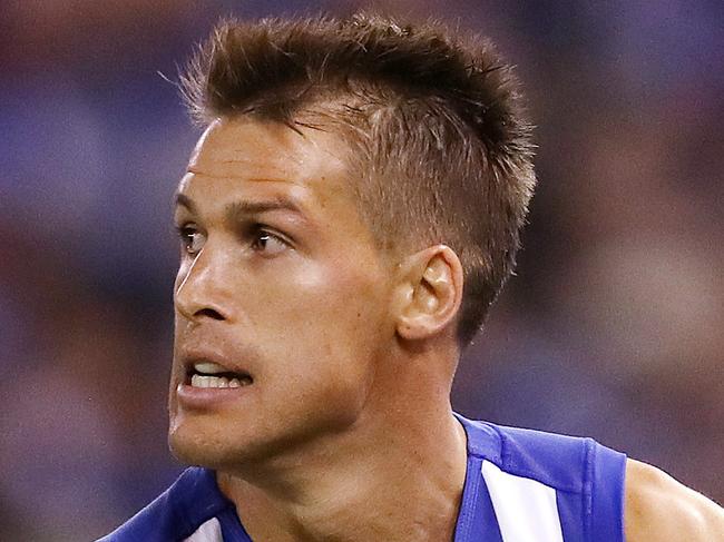 AFL Round 4. North Melbourne vs. Western Bulldogs at Etihad Stadium .  North Melbourne's Andrew Swallow    . Pic: Michael Klein