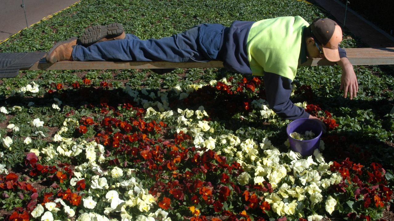 Matthew Costello working on a garden bed in Laurel Bank. Picture: David Martinelli.