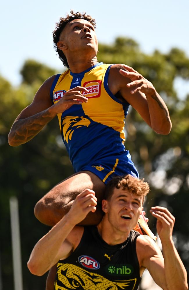 Tyrell Dewar flies for a mark. Picture: Daniel Carson/AFL Photos via Getty Images.