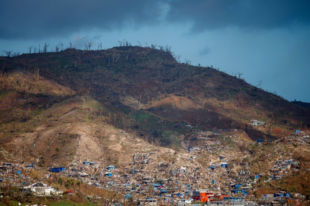 Mayotte faces environment, biodiversity crisis after cyclone