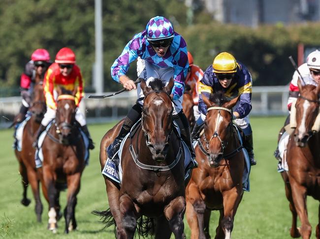 Pride Of Jenni ridden by Declan Bates wins the The Sharp EIT All-Star Mile at Caulfield Racecourse on March 16, 2024 in Caulfield, Australia. (Photo by George Sal/Racing Photos via Getty Images)