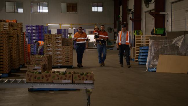 The Donovan family in their packing facility, from left, Clay, Miles with his son Huey and Lachlan. Picture: Supplied