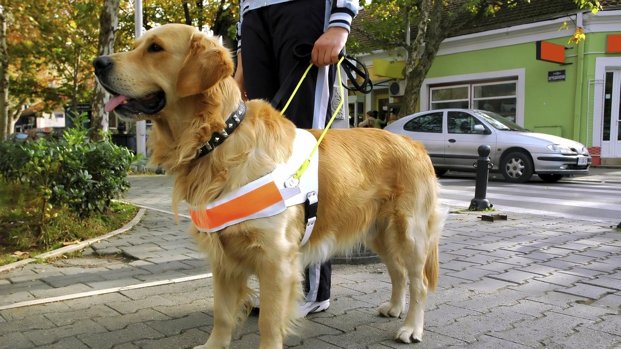 The new card is a “simple yet impactful” measure for those who are vision impaired according to Blind Citizens Australia chief executive Sally Aurisch.