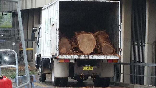 A truck takes away a massive tree trunk in Epping last month.