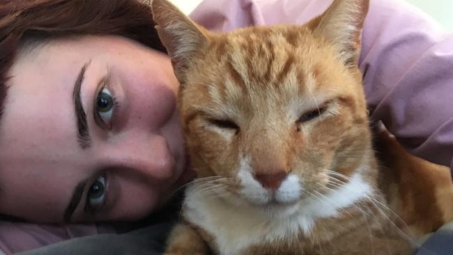 Harvey Jean reunited with her 14-year-old cat Rufus who was missing for more than one month.