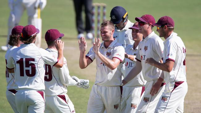 Mark Steketee celebrates the wicket of Victoria’s Will Pucovski. Picture: AAP