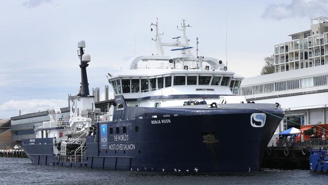 The Ronja Huon docked next to Princes Wharf Shed No. 1 in Hobart. Picture: NIKKI DAVIS-JONES