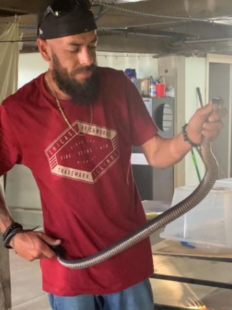 Josh Sharma has been busy catching snakes around the region and relocating them into the wild.