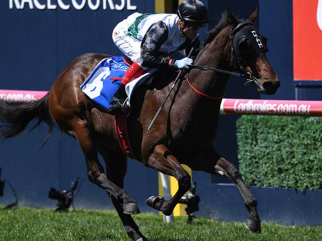 Craig Williams rides Champagne Boom to victory in the Debutant Stakes.