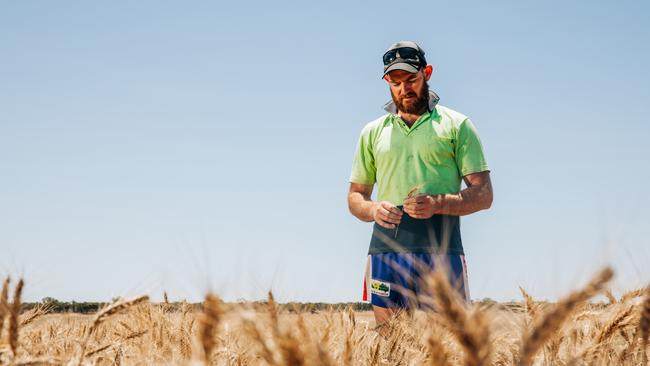 Grain grower Tim Polkinghorne on his property at Lock on South Australia’s Eyre Peninsula.