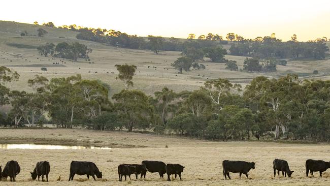 Graziers say the European Union’s maps of Australian agricultural land are wrong. Picture: Zoe Phillips