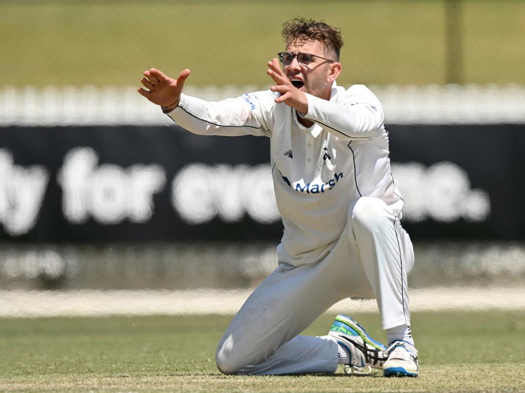 Victorian off-spinner Todd Murphy will face a baptism of fire in India. Picture: Morgan Hancock/Getty Images