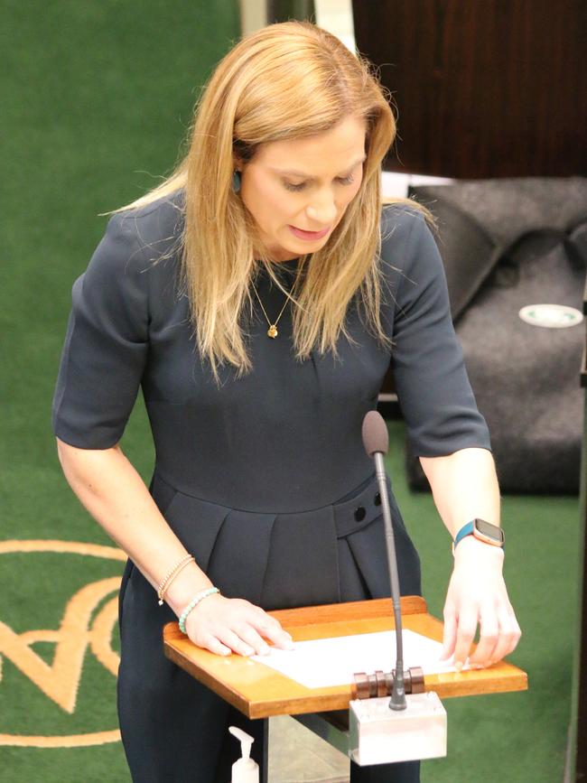 Independent MP Kristie Johnston addresses state parliament on Wednesday 23 June 2021.