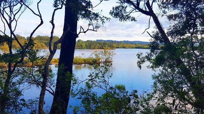 Along the Tallebudgera Creek Conservation Park trail. Picture: Gold Coast City Council