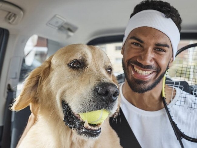 Uber has begun piloting carrying pets in its ride share cars.