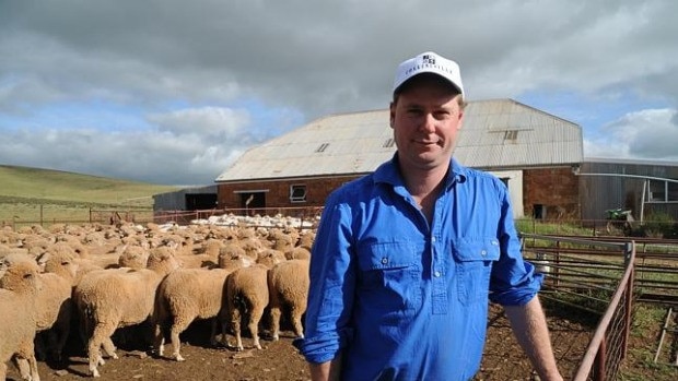 George Millington became only the fourth owner of Collinsville Station when he bought the vast South ­Australian pastoral holding and merino stud. Picture: File