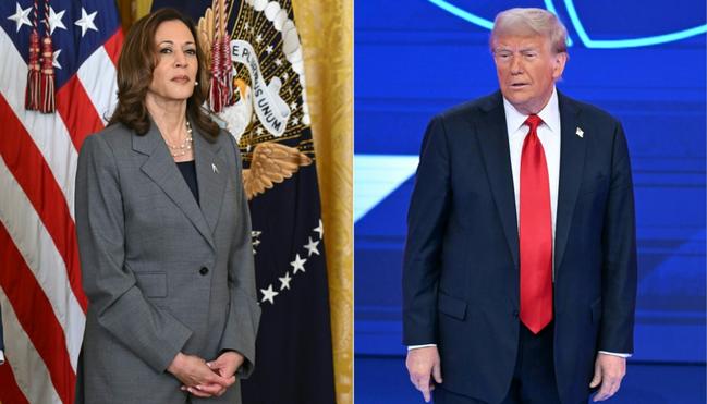 US Vice President Kamala Harris and former president Donald Trump are making closing pitches to voters in one of America's most divisive electoral fights