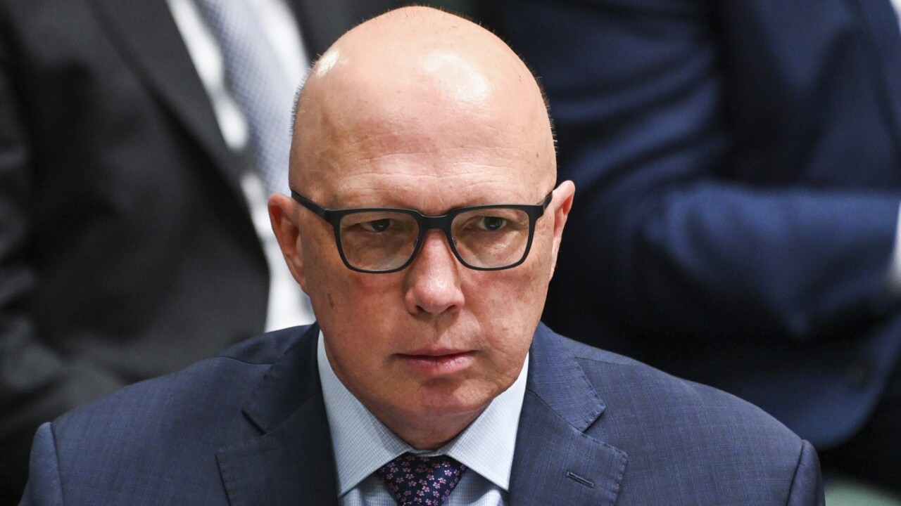 Peter Dutton says a ‘whole bunch of stuff’ but never backs it up: Jim Chalmers
