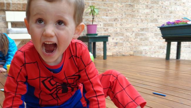 Three year old boy William Tyrrell vanished in September 2014. Picture: NSW Police.