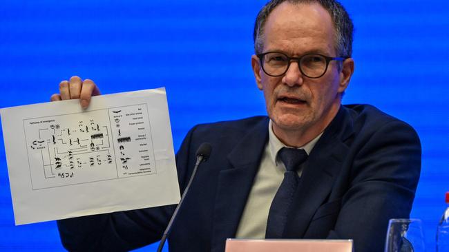 Peter Ben Embarek speaks during a press conference to wrap up a visit by an international team of experts from the World Health Organisation (WHO) in the city of Wuhan. Picture: AFP