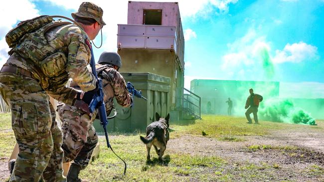 The ADF Military Working Dogs (MWD) edict mandates they must only be used now in “reasonable circumstances” and not as a tool to elicit information from a captured person or under control during tactical questioning. Picture: Supplied