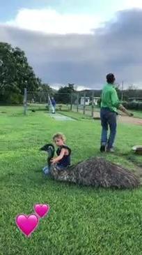 Fred the Emu loves cuddles