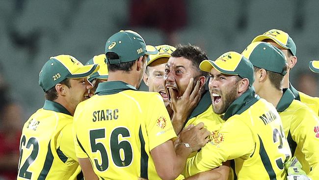 Marcus Stoinis celebrates taking the wicket of David Miller in Adelaide. Picture: Sarah Reed