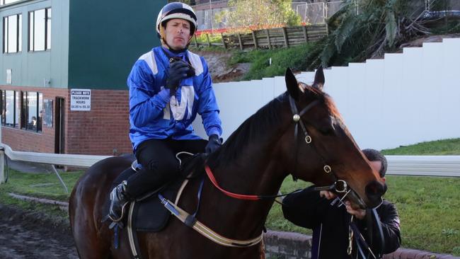 Winx will be chasing her 11th straight win on Saturday at Randwick.