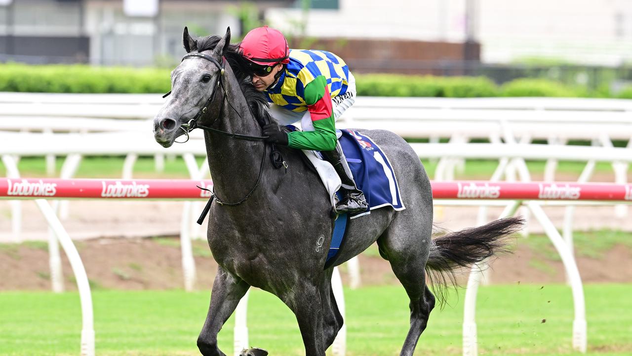 Boom Queensland two-year-old Can't Recall This wins in explosive fashion at Eagle Farm for jockey Michael Rodd and trainer Stuart Kendrick. Picture: Grant Peters, Trackside Photography.,