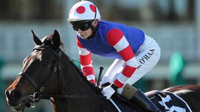 Kathy O'Hara (pictured) can add to her impressive tally at Goulburn on Friday. Picture: Getty Images