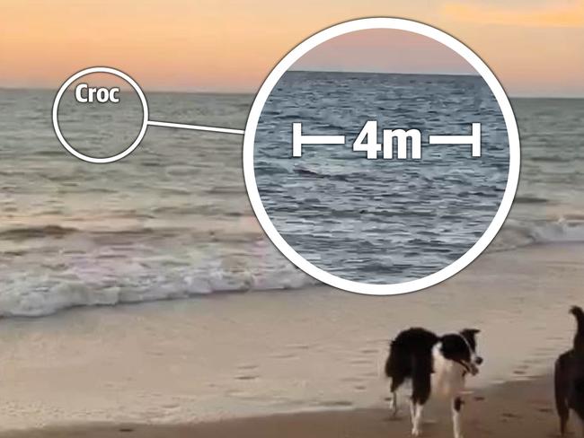 An 'aggressive four-metre croc’ has been spotted stalking dogs as their owners walked them along a popular Darwin beach