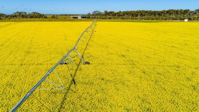 goFARM Australia have sold about 5000ha in the southern Mallee including several farms at Reedy Lake.