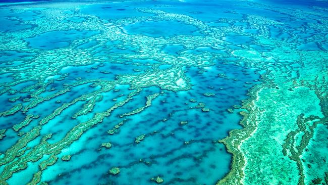 Legal action launched over Great Barrier Reef oil spill | The Courier Mail