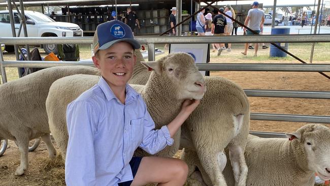 Sam Williams from Culcairn, NSW, for LeMar Poll Dorsets is selling his first rams this year. Source: Supplied