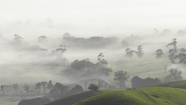 Rolling mist lingers at Mount Worth on the Grand Ridge Road, near Warragul.