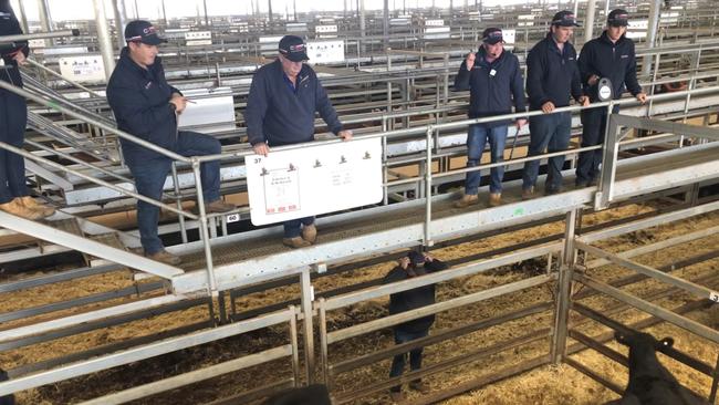 Market reporters will be banned from some saleyards, including Wodonga, during Victoria’s Covid-19 lockdown. Picture: Fiona Myers