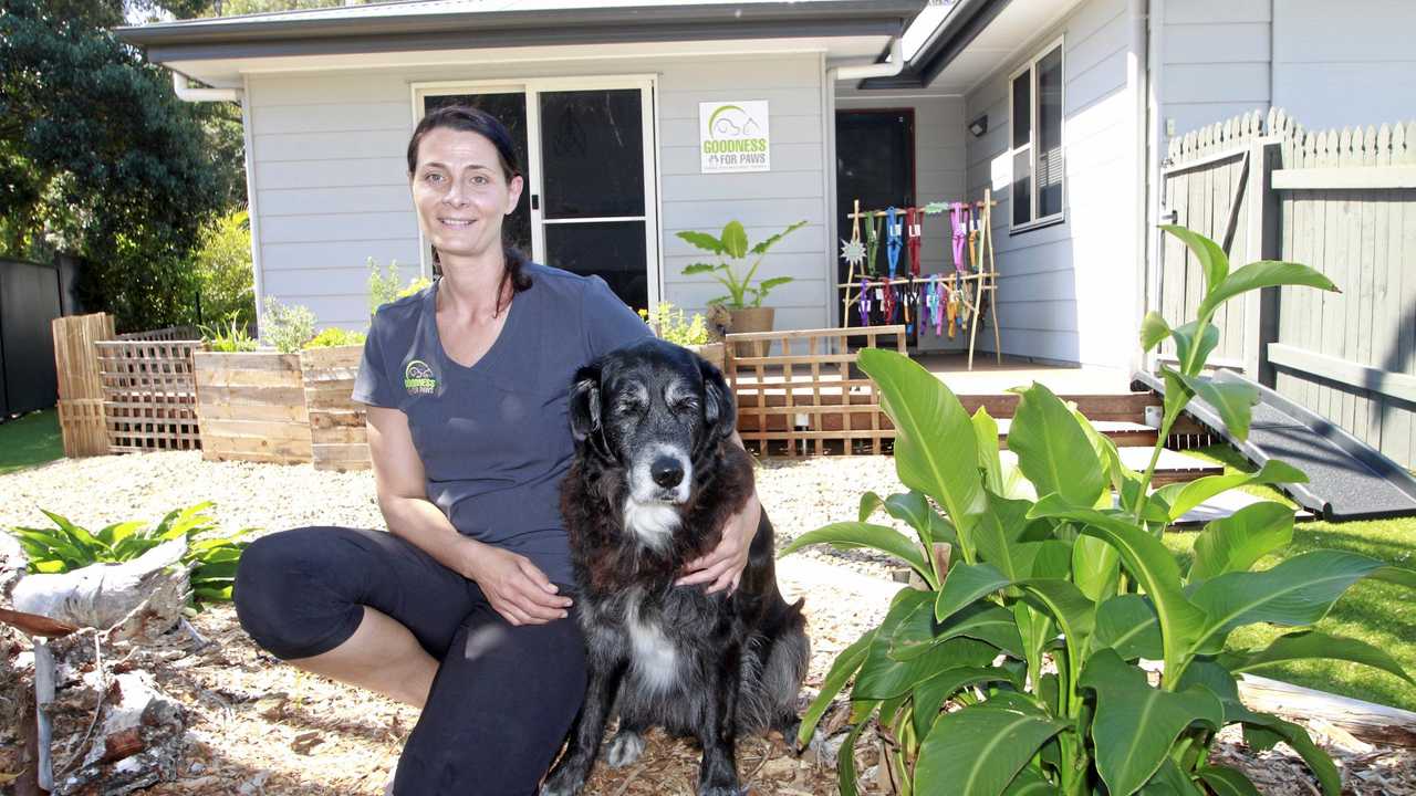 PAMPER POOCHES: Goodness For Paws owner Christina Schaumann with 'Ash' her seven year old Labrador-Border Collie cross wanted to let dog owners in the Fraser Coast region know about her holistic therapy for dogs business. Picture: Glen Porteous