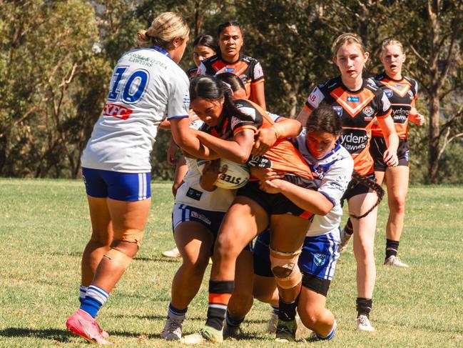 Lucyannah Luamanu of the Wests Tigers. Picture: Contributed