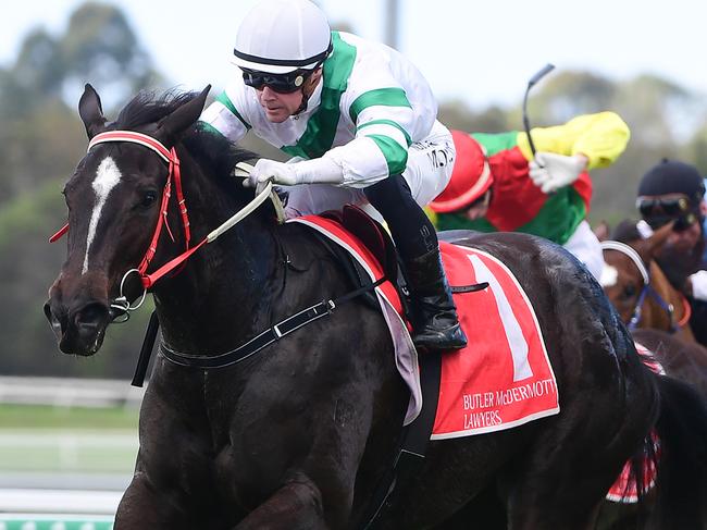 Kisukano winning at the Sunshine Coast. Picture: Trackside Photography