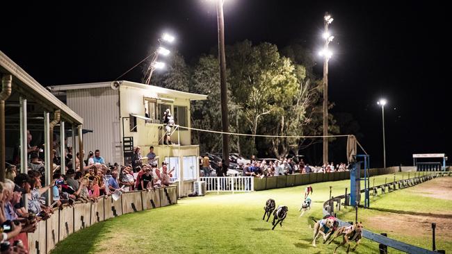 The Coonamble Greyhound Carnival. Picture: Dylan Robinson