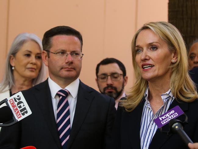 Minister for Women's Safety and the Prevention of Domestic and Sexual Violence, Natalie Ward, with Minister for Multiculturalism,Mark Coure address the media last week. Ms Ward was unsuccessful in her bid to run a the next election n the seat of Davidson. Picture: NCA Newswire / Gaye Gerard