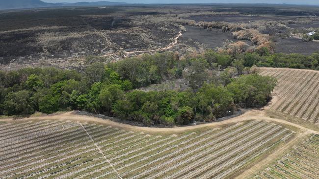 A grass fire that started south of a famous agave farm was stopped at the creek as firefighter and volunteers battled the fire via backburning. Picture: Contributed