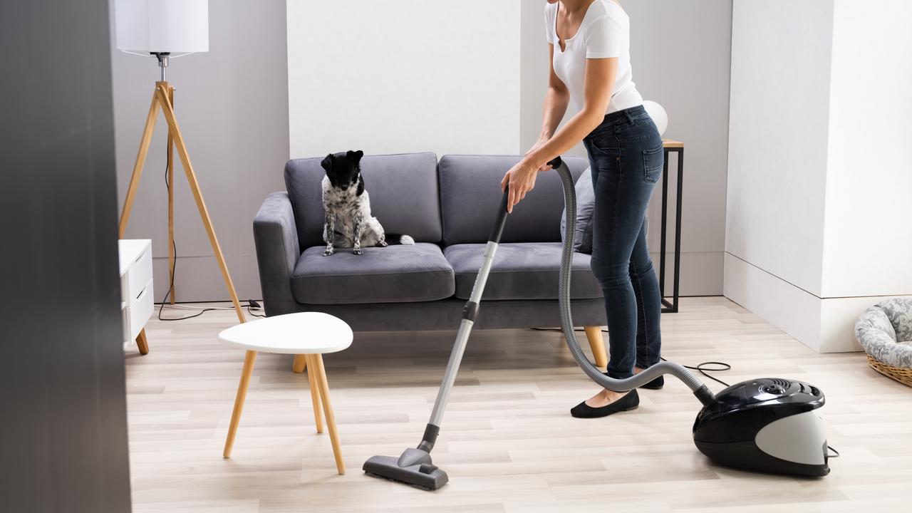 9 Best Vacuum Cleaners For Pet Hair To Buy In 2022 | news.com.au —  Australia's leading news site