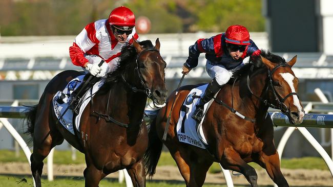 Mongolian Khan beats Trip To Paris to win the Caulfield Cup. Picture: Colleen Petch