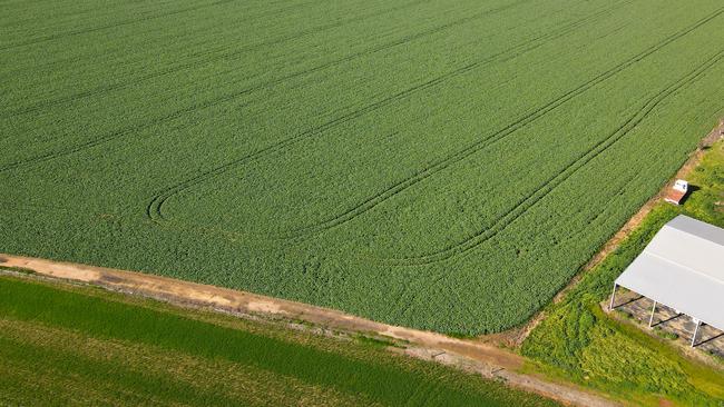 The Fanning family produced award-winning lucerne crops during their 17-year tenure of the Wyuna farms.