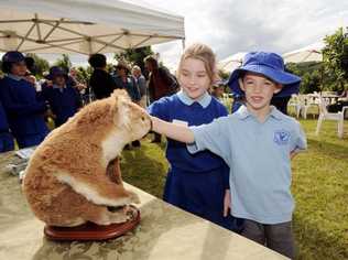 Mimi O'Reilly 9, and Samuel Roberts 8, from Tregeagle public school at the launch of the Koala plan of Management at Tregeagle. Picture: Doug Eaton