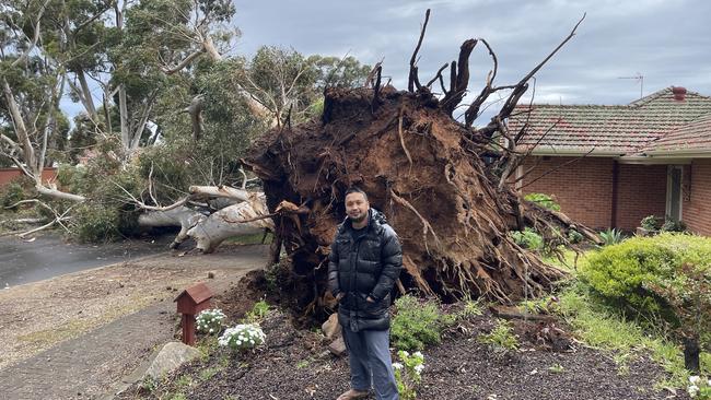 Resident Yahya Basman stands in front of a large tree blocking Glen St, Burnside. Picture: Evangeline Polymeneas