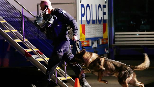 The dog squad responds to a call as the riot drags on. Picture Norm Oorloff