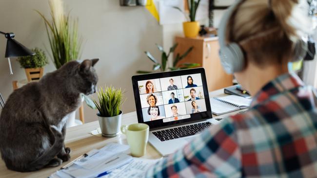 A virtual meeting via Zoom. Picture: iStock